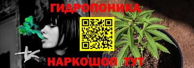 2c-b Кунгур