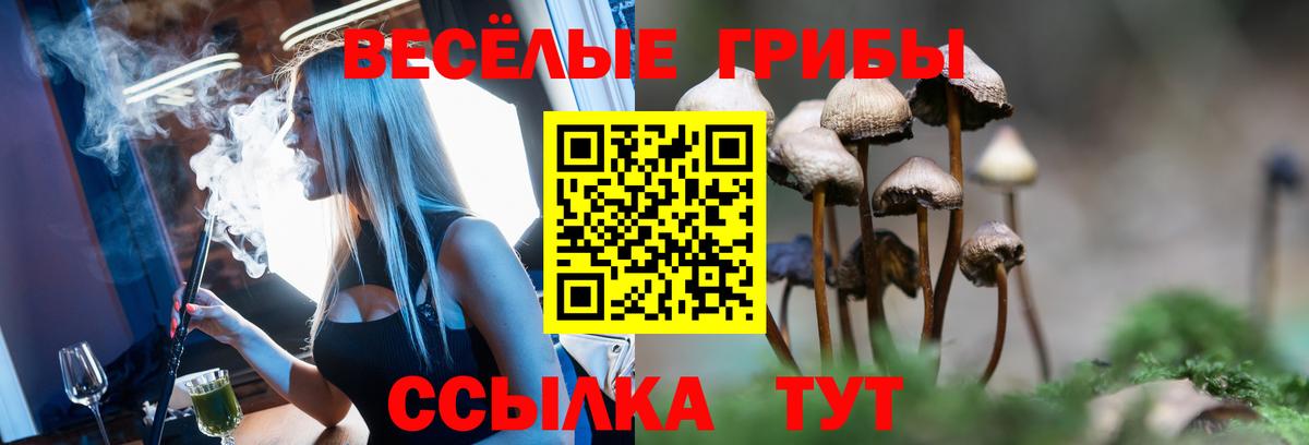 Галлюциногенные грибы ЛСД  Вход с VPN  Уварово  Псилоцибиновые грибы Psilocybine cubensis 